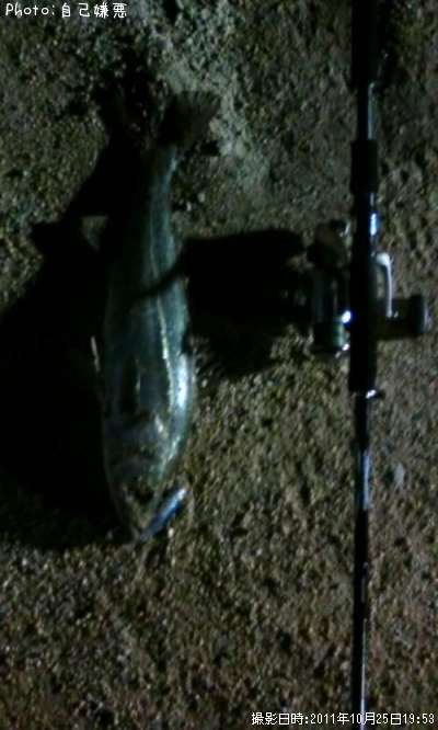 �����Х����ɡϡ��ݡ�