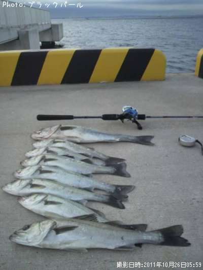 �����Х�