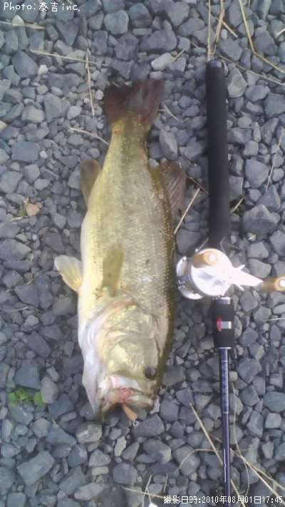 �֥�å��Х�