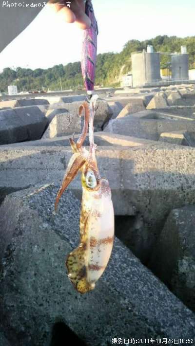 �����ꥤ��