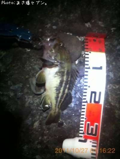 ���ޥ���