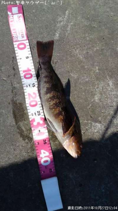 �����ʥ�