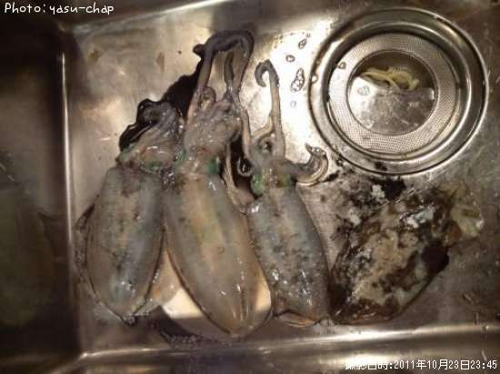 �����ꥤ��