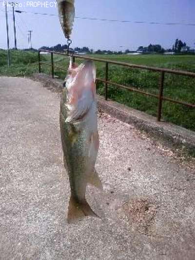 �֥�å��Х�