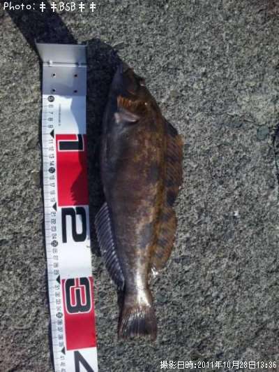 �����ʥ�