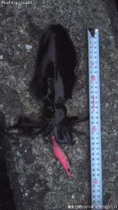 �����ꥤ��