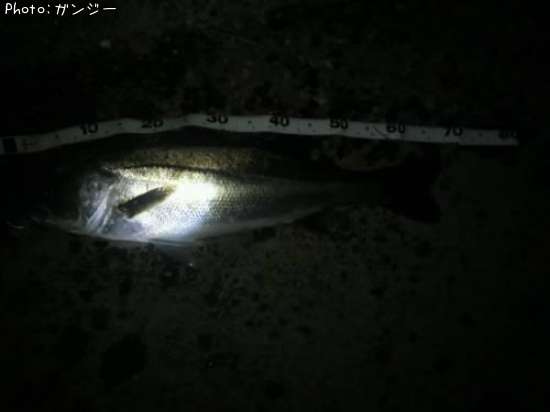 �����Х�