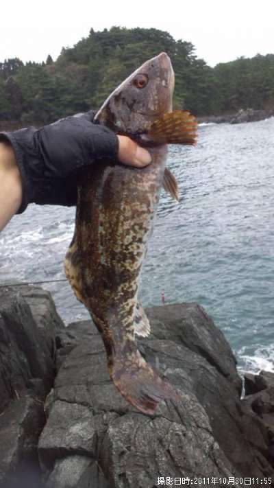 �����ʥ�