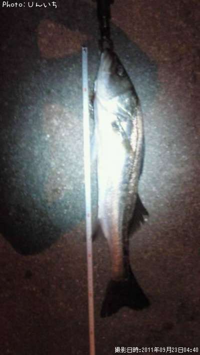 �����Х�