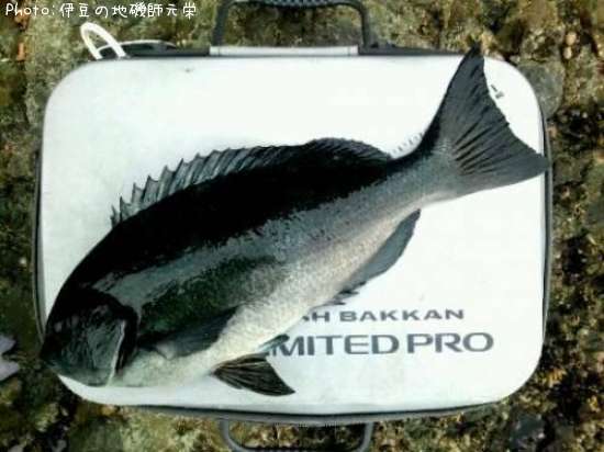 �����᥸��