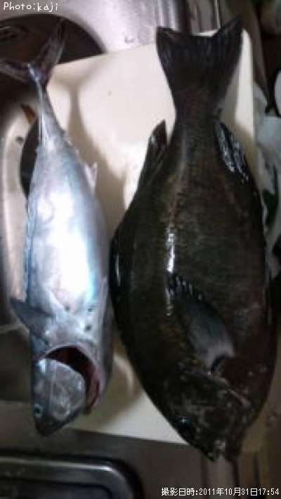 �᥸�ʡ�����