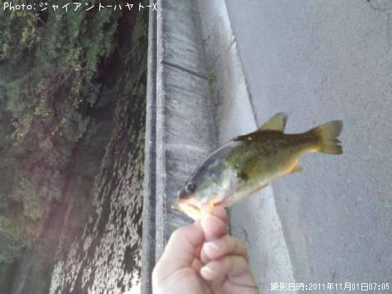 �֥�å��Х�