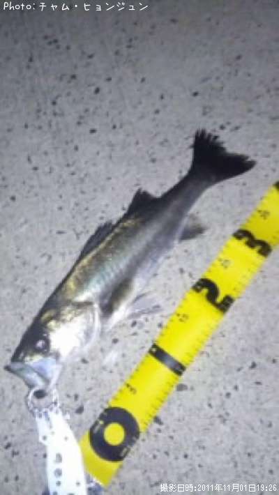 �����Х�