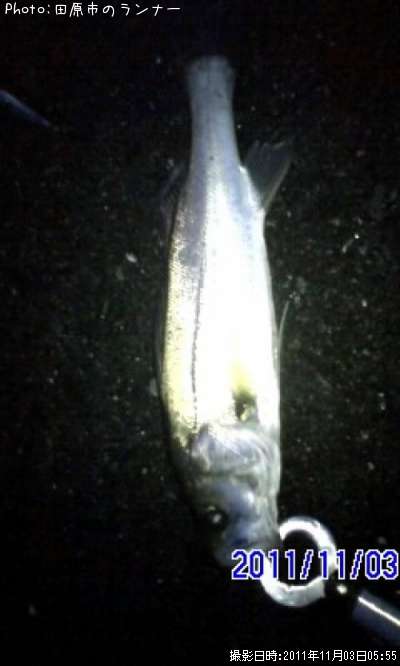 �����Х�