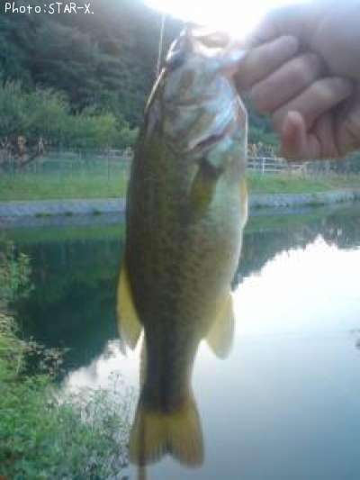 �֥�å��Х�