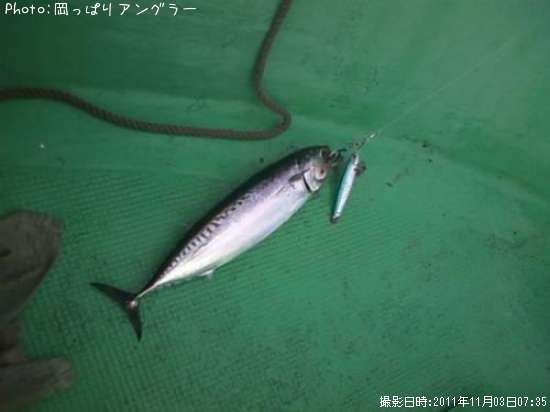 ���������ĥ�