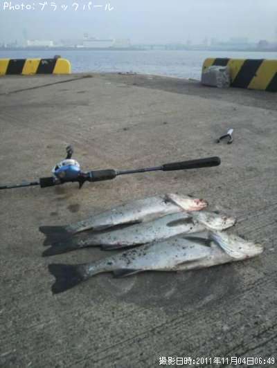 �����Х�