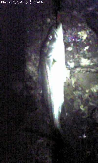 �����Х�