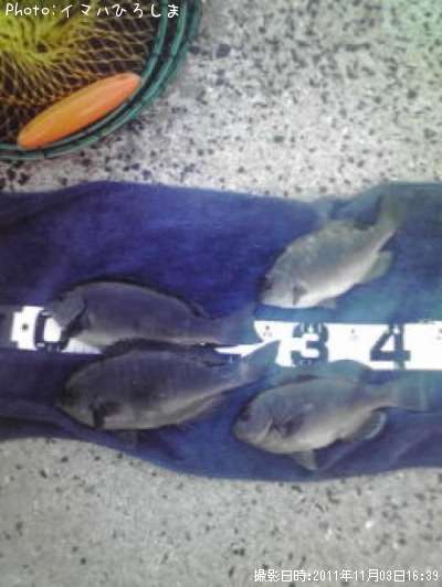 �����᥸��