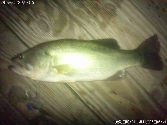 �֥�å��Х�