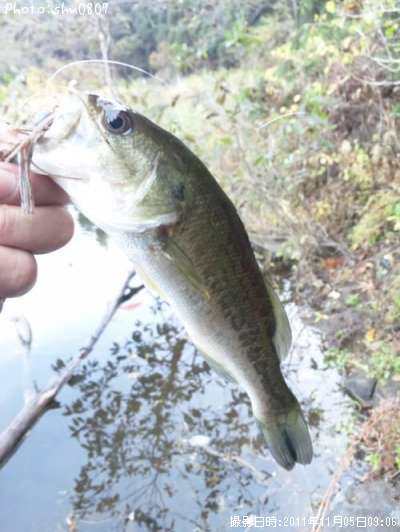 �֥�å��Х�