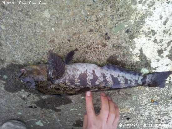 �����ʥ�