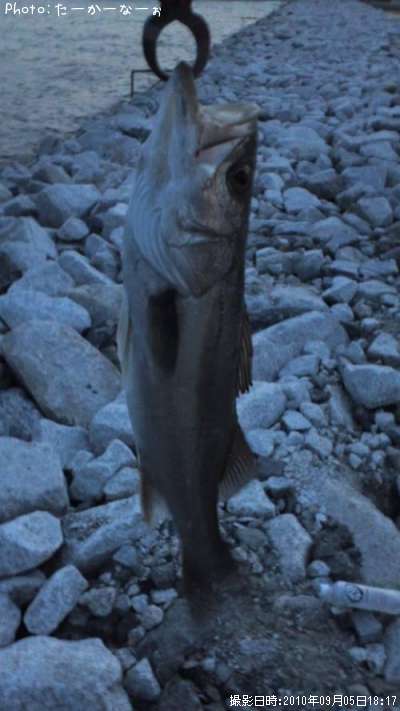 �����Х�