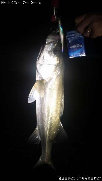 �����Х�