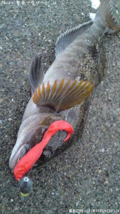 �����ʥ�