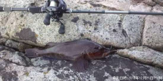 �����ʥ�