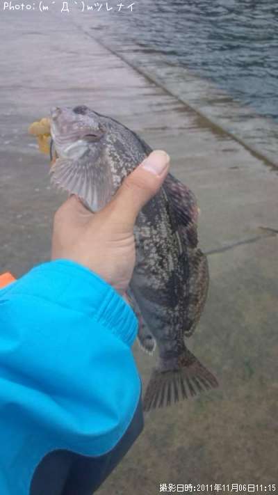 �����ʥ�