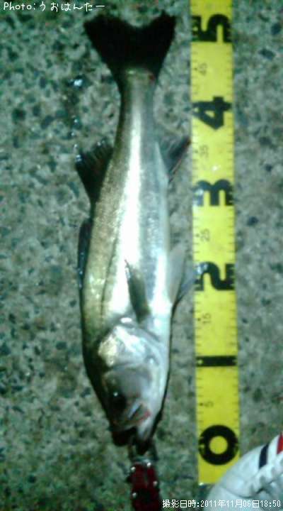 �����Х�