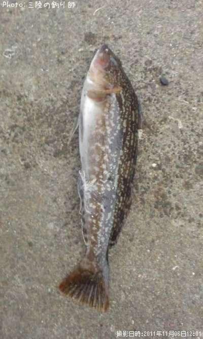 �����ʥ�