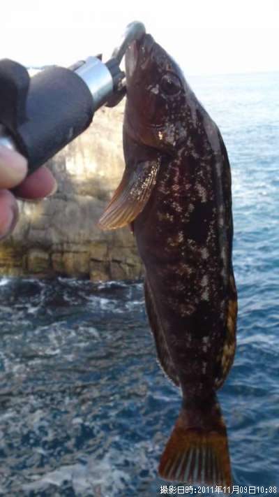 �����ʥ�