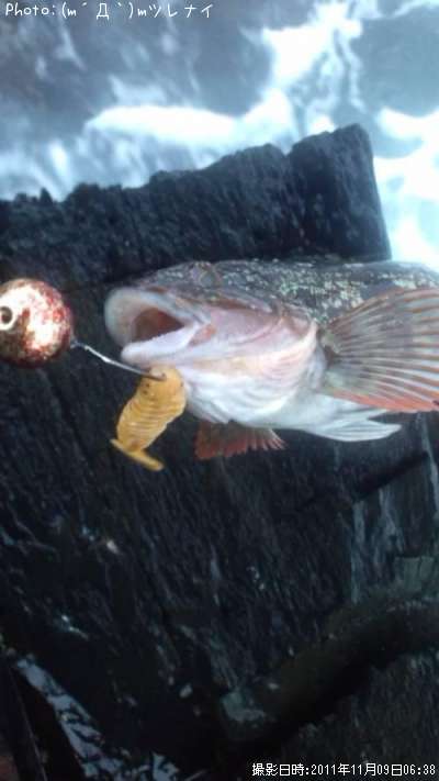 �����ʥ�