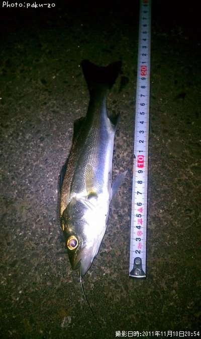 �����Х�