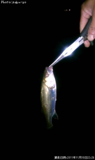 �����Х�