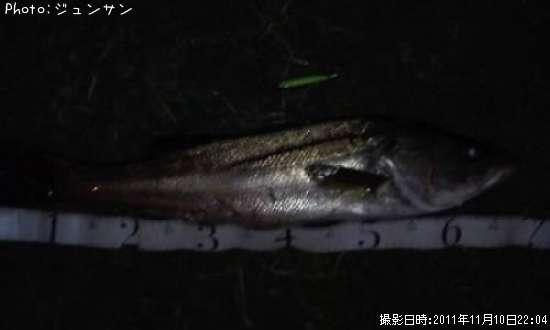 �����Х�