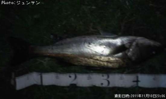 �����Х�