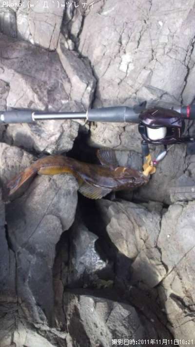 �����ʥ�