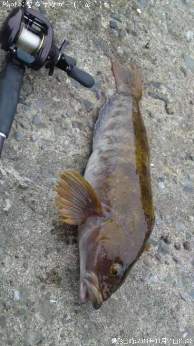 �����ʥ�