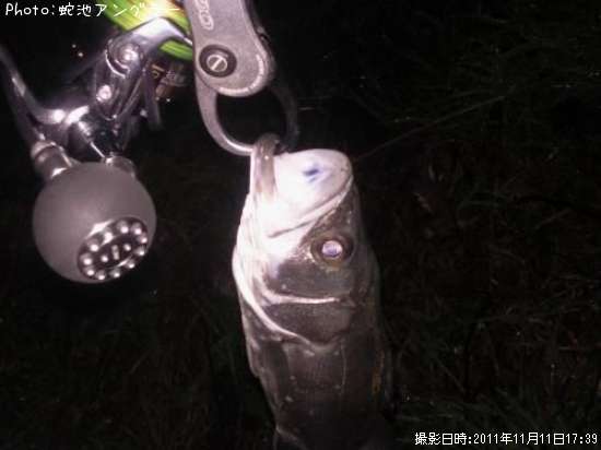 �����Х�