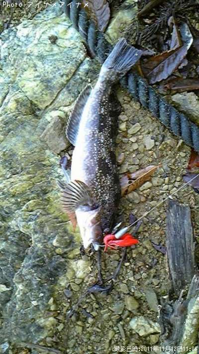 �����ʥ�