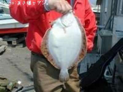 �����Х��쥤