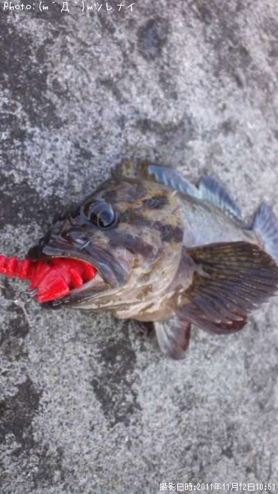 �٥å�������