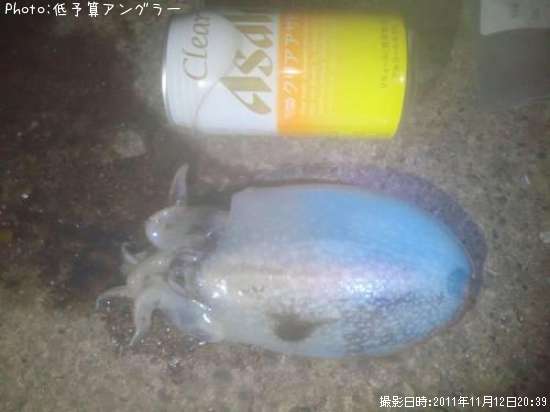 ����䥱����