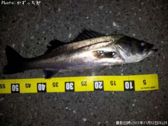 �����Х�