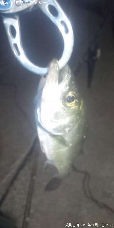 �����Х�