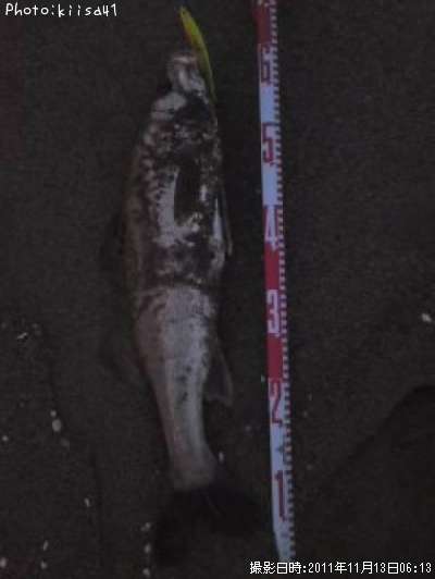 �����Х�