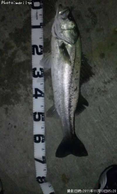 �����Х�